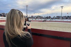 bull fight doc