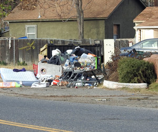 Blight Ceres CA