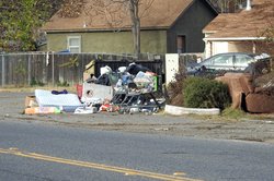 Blight Ceres CA