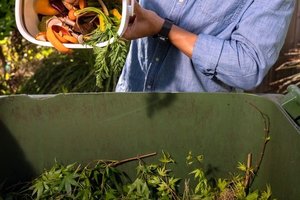 Food recycle 5-6