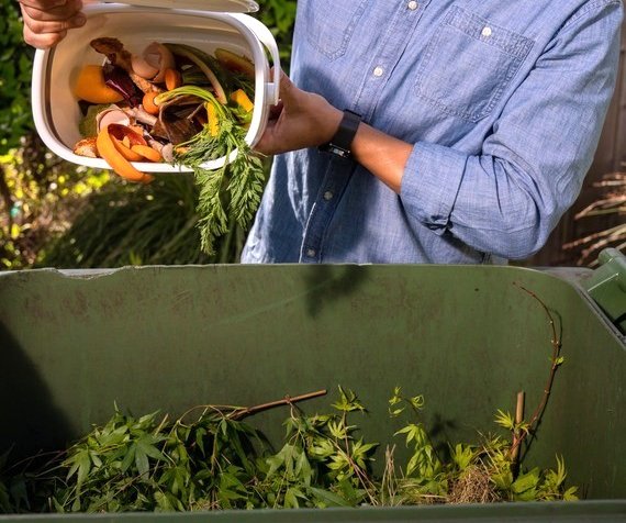 Food recycle 5-6