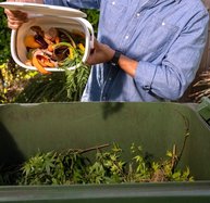 Food recycle 5-6