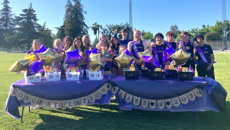TF Seniors