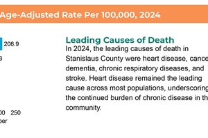 county death statistics