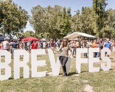 CV Brewfest