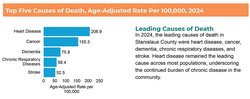 county death statistics