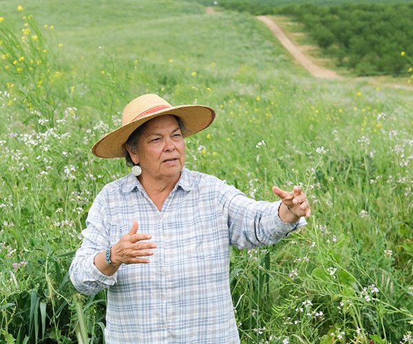 groundwater law