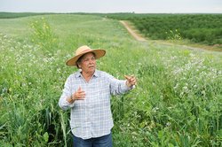 groundwater law