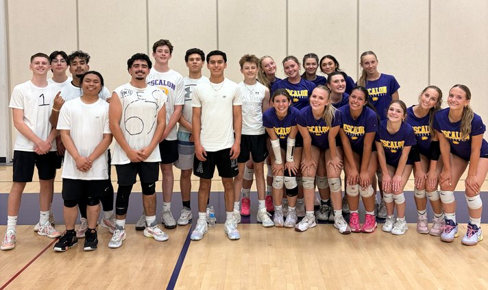 E volley 513