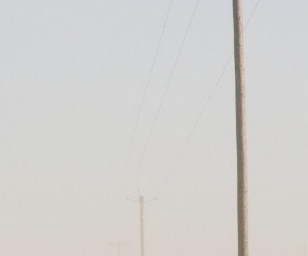 Valley Fever