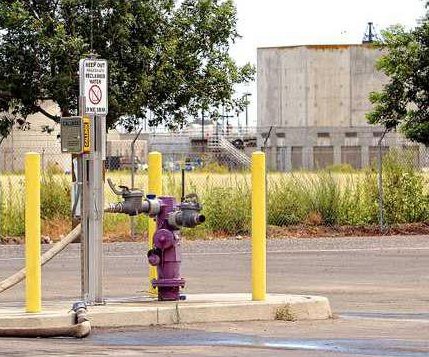 purple hydrant