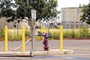 purple hydrant