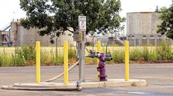 purple hydrant