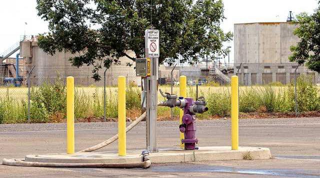 purple hydrant