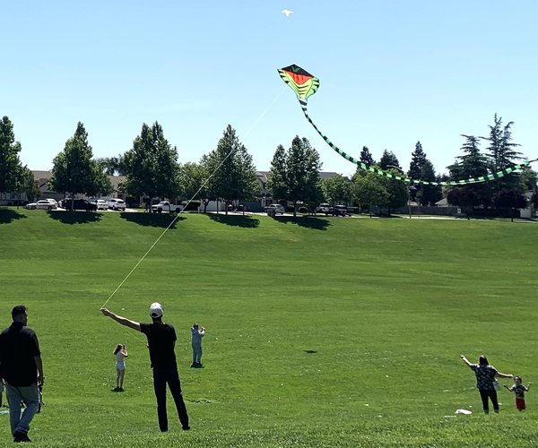 kites 5-20