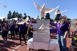 Doves relay