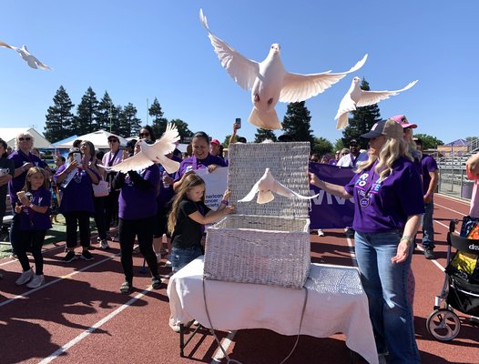 Doves relay