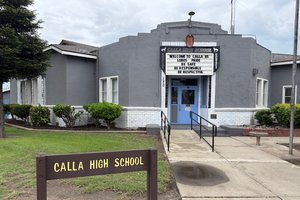 calla high