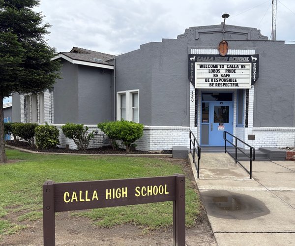 calla high