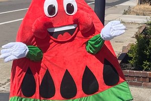watermelon