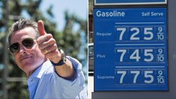 newsom gas