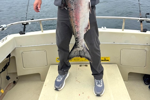 ocean salmon tools