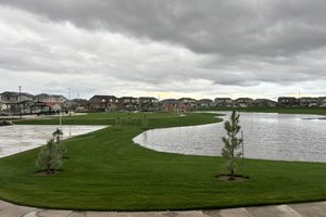 moore park retention