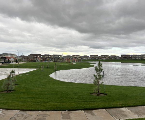 moore park retention