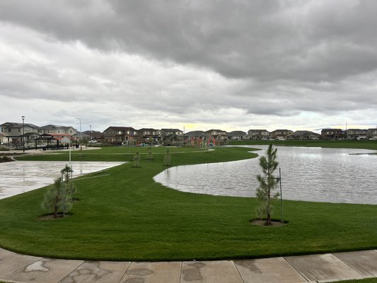 moore park retention
