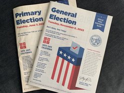 pamphlet voters