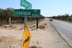 park lovelace