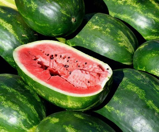 watermelon