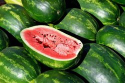 watermelon