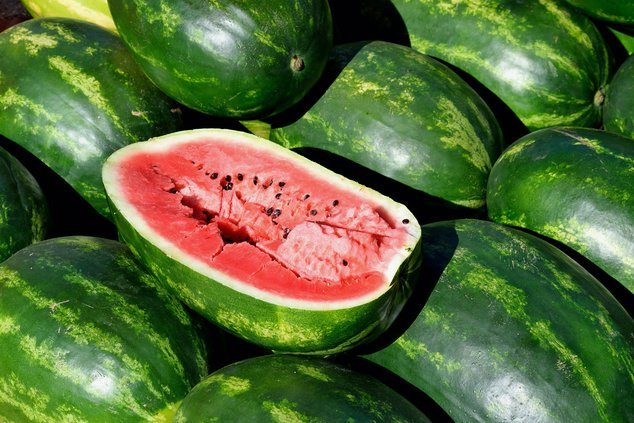 watermelon