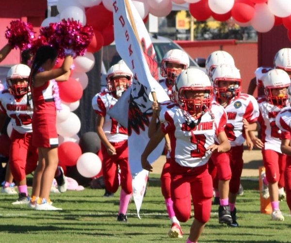 gustine reds youth