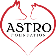 Astro logo