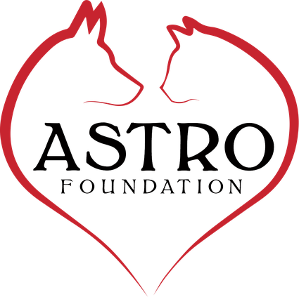 Astro logo