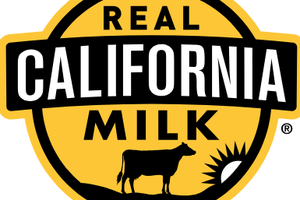 Dairy