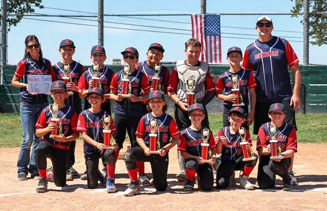 baseball 12u