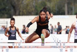 marian quevedo