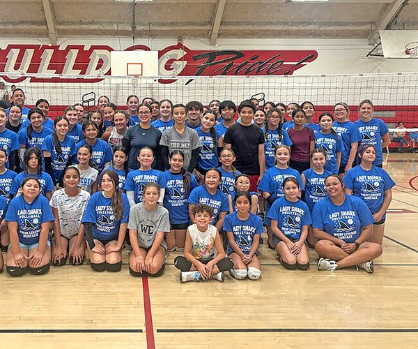 ladysharxvolleyball