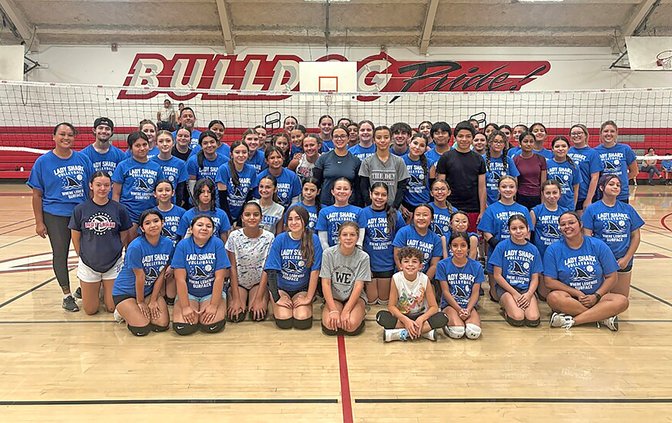 ladysharxvolleyball