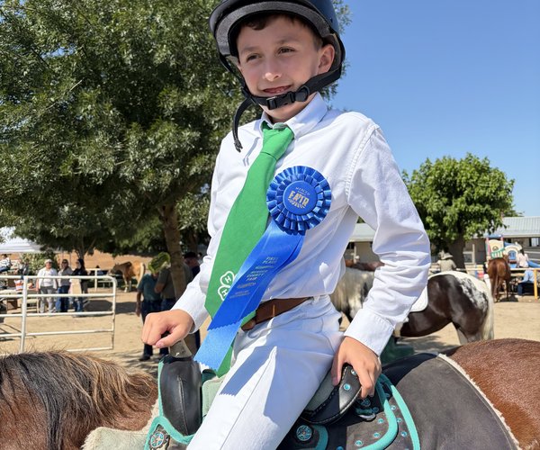 westside 4h horse 6-10