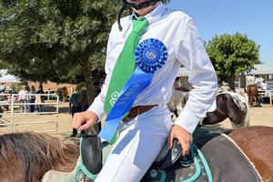 westside 4h horse 6-10