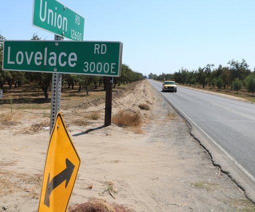lovelace