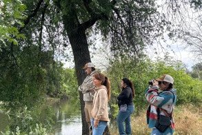 caswell guided walk