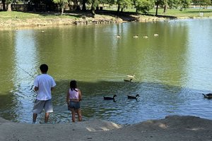 Donnelly Park 1