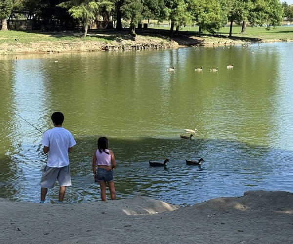 Donnelly Park 1