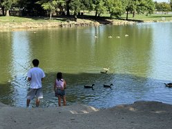 Donnelly Park 1