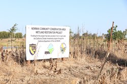 newman wetland